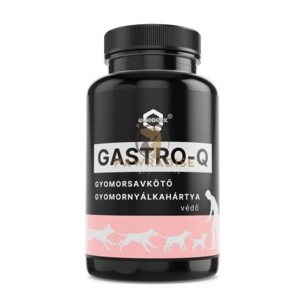 QUEBECK GASTRO-Q gyomorsavkötő, gyomornyálkahártya védő por 