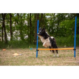 Trixie Dog Activity játék Agility akadály 123x115 cm