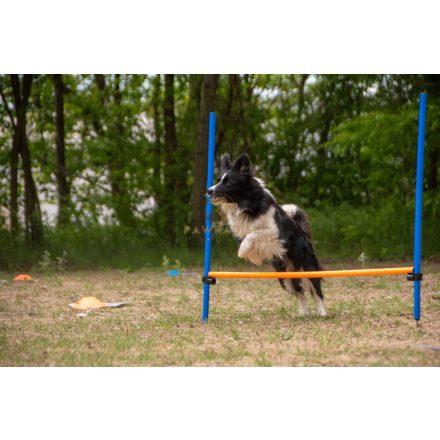 Trixie Dog Activity játék Agility akadály 123x115 cm