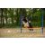 Trixie Dog Activity játék Agility akadály 123x115 cm