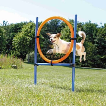 Trixie Dog Activity játék Agility Karika