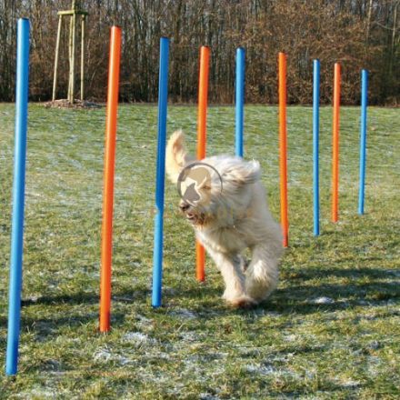 Trixie Dog Activity játék Agility szlalom 12db 115x3cm