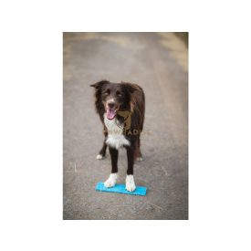 Vapaa Target 10x30 cm