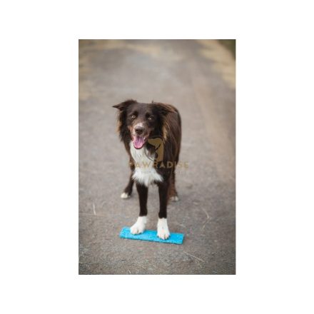 Vapaa Target 10x30 cm