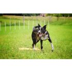 Vapaa Target 50x30 cm