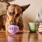WOOF Pupsicle kutyajáték - Levendula jutalomfalat adagoló labda (S méret)