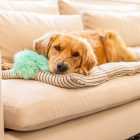 West Paw Rowdies Plüss játék Freya