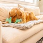 West Paw Rowdies Plüss játék Freya