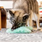 West Paw Rowdies Plüss játék Magnus