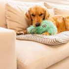 West Paw Rowdies Plüss játék Magnus